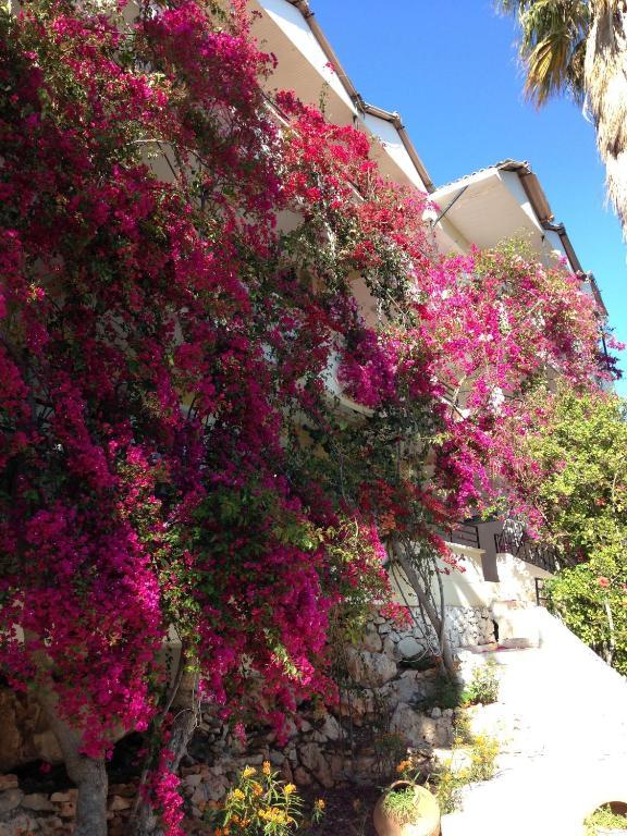 Pataros Hotel Patara Kültér fotó