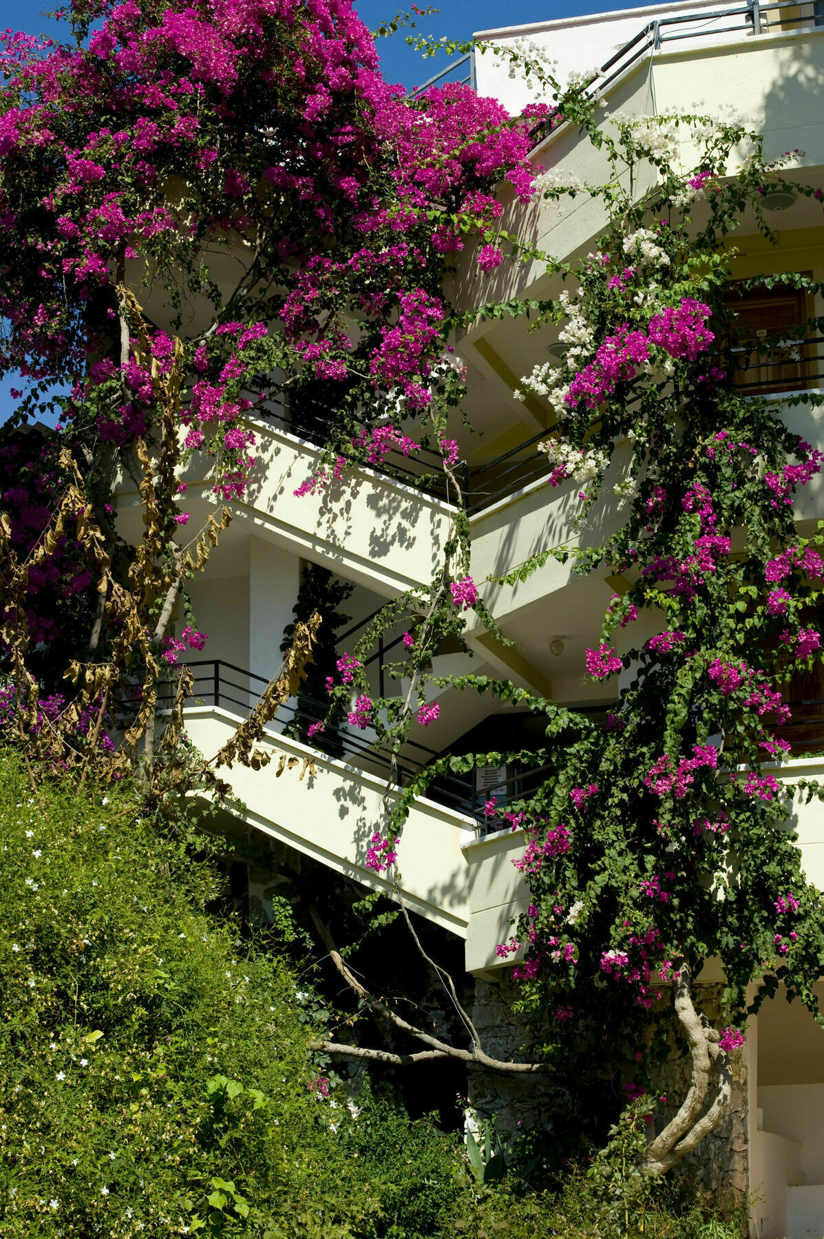 Pataros Hotel Patara Kültér fotó